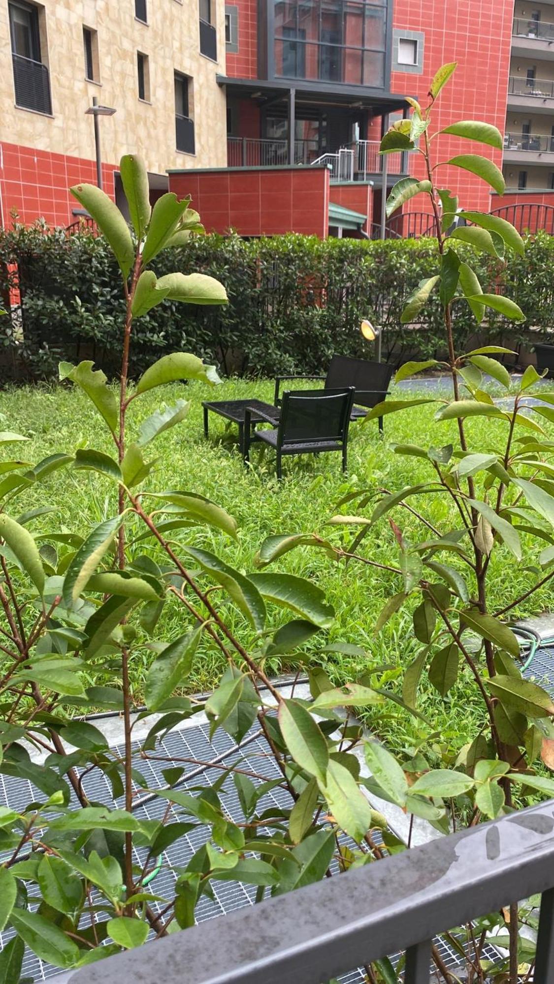 Cos54 - Exclusive Apartment With Garden In Milánó Kültér fotó